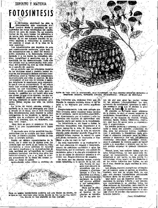 ABC SEVILLA 25-04-1958 página 5