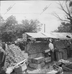 Vendedor de Rosquillas durante la fiesta de san isidro en 1958