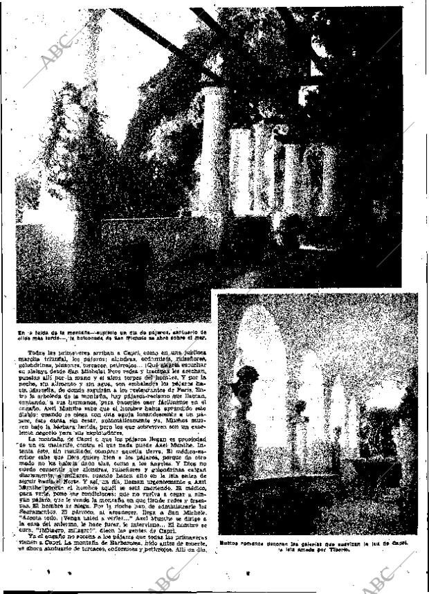ABC MADRID 11-06-1958 página 17