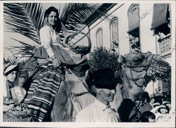 Señoritas Subidas en Camellos Acudieron A ofrecer sus Frutos de Todos los...