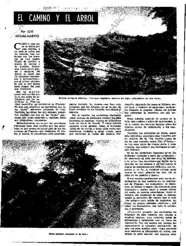 ABC MADRID 03-12-1958 página 15