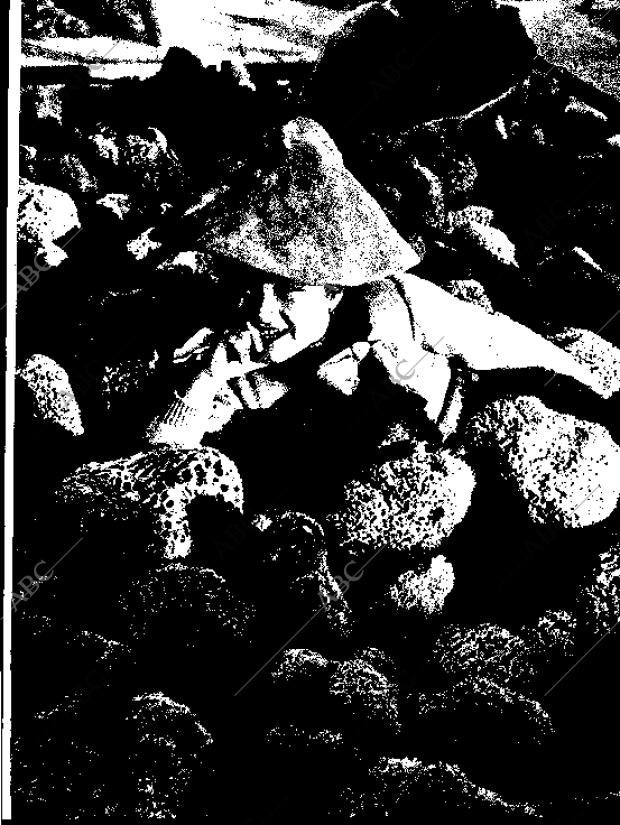 BLANCO Y NEGRO MADRID 20-12-1958 página 25