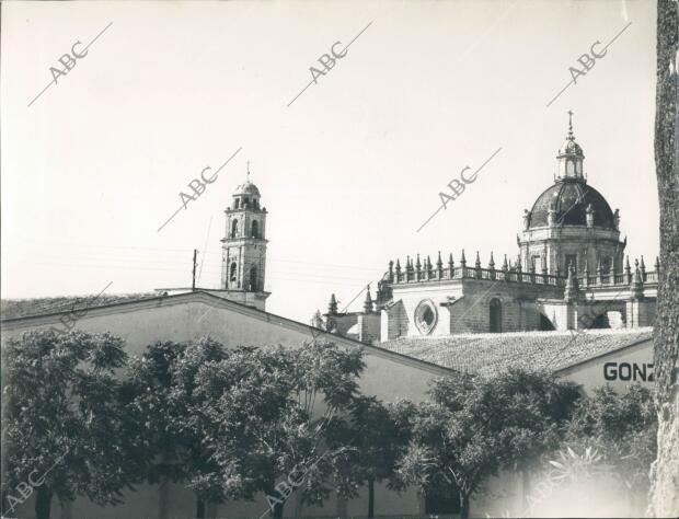 Jerez de la Frontera, Cádiz.- vista de la catedral