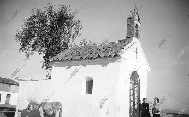 Ermita del cristo del olivo