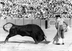 Pepe Luis Vázquez toreando