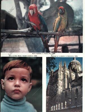 BLANCO Y NEGRO MADRID 10-01-1959 página 6