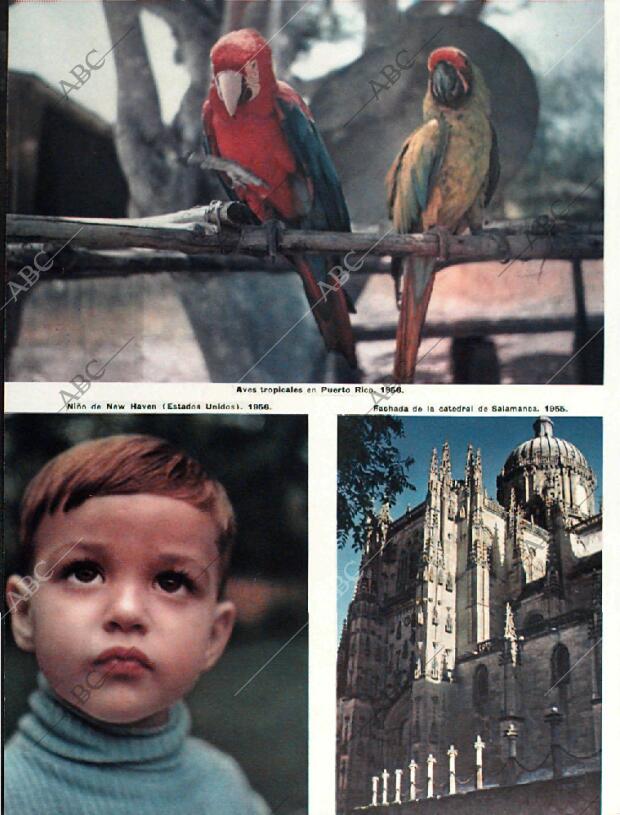 BLANCO Y NEGRO MADRID 10-01-1959 página 6