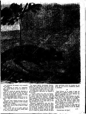 ABC SEVILLA 18-01-1959 página 7