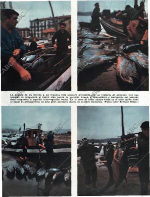 BLANCO Y NEGRO MADRID 24-01-1959 página 23