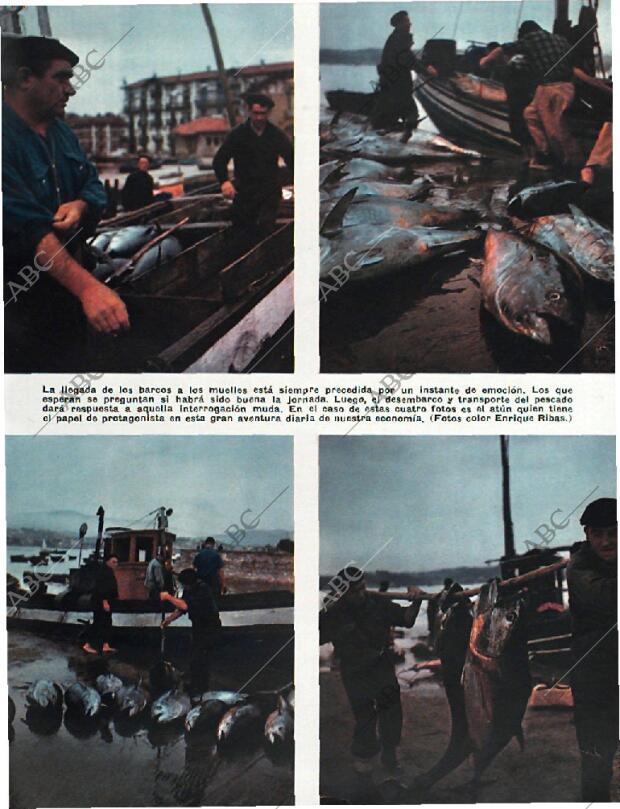 BLANCO Y NEGRO MADRID 24-01-1959 página 23