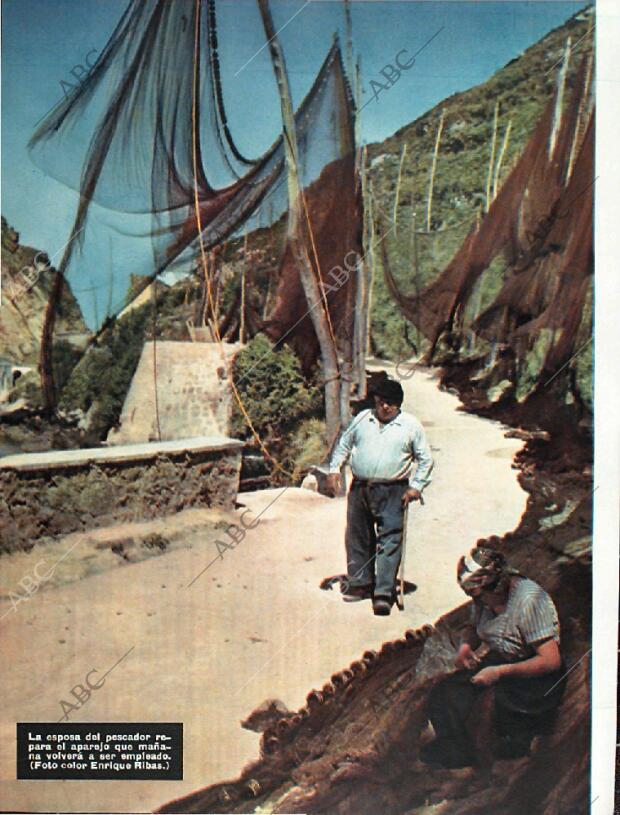 BLANCO Y NEGRO MADRID 24-01-1959 página 24