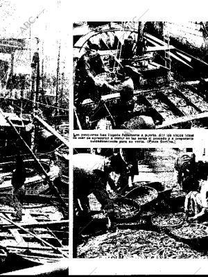 BLANCO Y NEGRO MADRID 24-01-1959 página 29