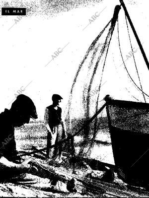 BLANCO Y NEGRO MADRID 24-01-1959 página 30