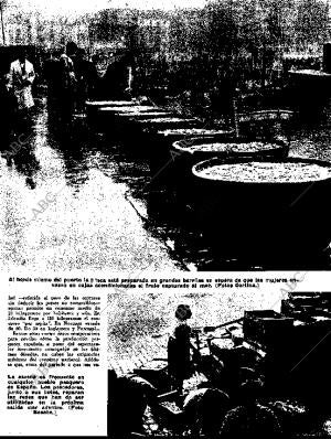 BLANCO Y NEGRO MADRID 24-01-1959 página 31