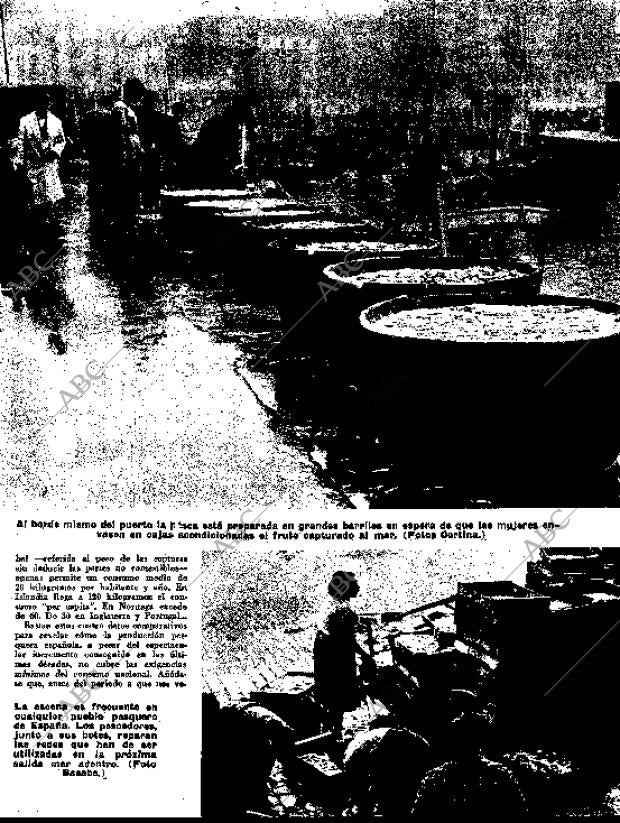 BLANCO Y NEGRO MADRID 24-01-1959 página 31