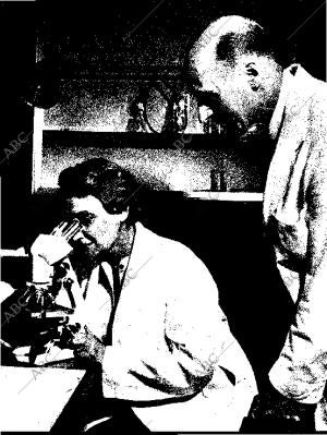 BLANCO Y NEGRO MADRID 24-01-1959 página 35