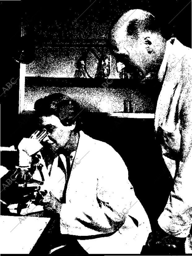 BLANCO Y NEGRO MADRID 24-01-1959 página 35