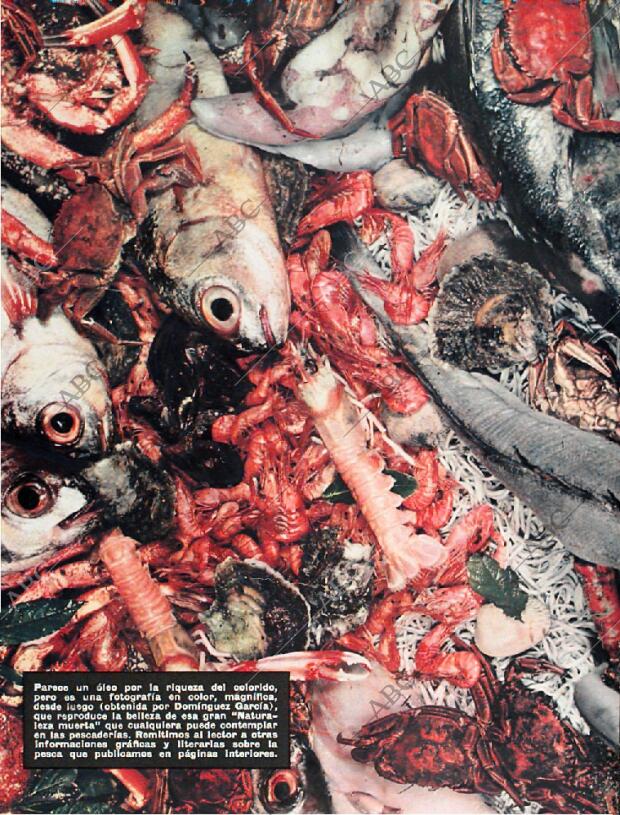 BLANCO Y NEGRO MADRID 24-01-1959 página 4