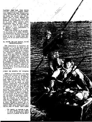 BLANCO Y NEGRO MADRID 24-01-1959 página 41