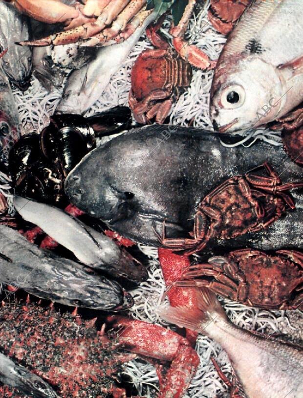 BLANCO Y NEGRO MADRID 24-01-1959 página 5