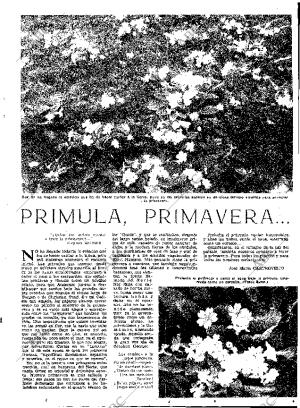 ABC MADRID 06-03-1959 página 23