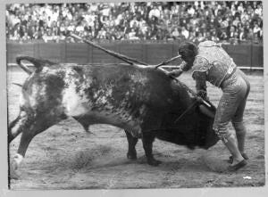 Rafael Ortega en la estocada al toro «Trabuco», de Miura, lidiado en la cuarta...