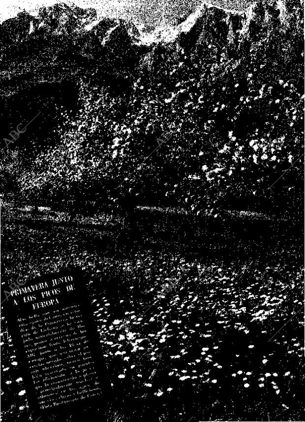 ABC MADRID 26-04-1959 página 7