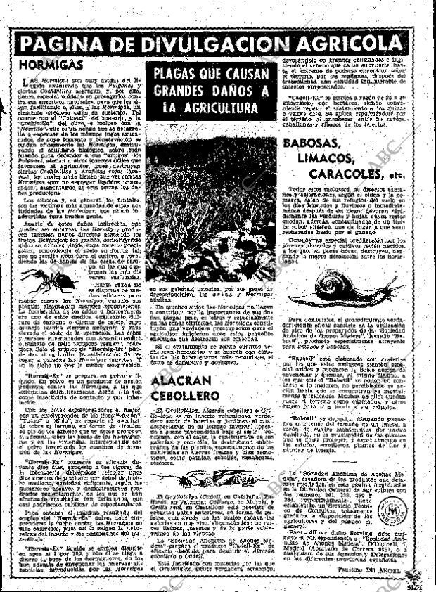 ABC MADRID 28-05-1959 página 11