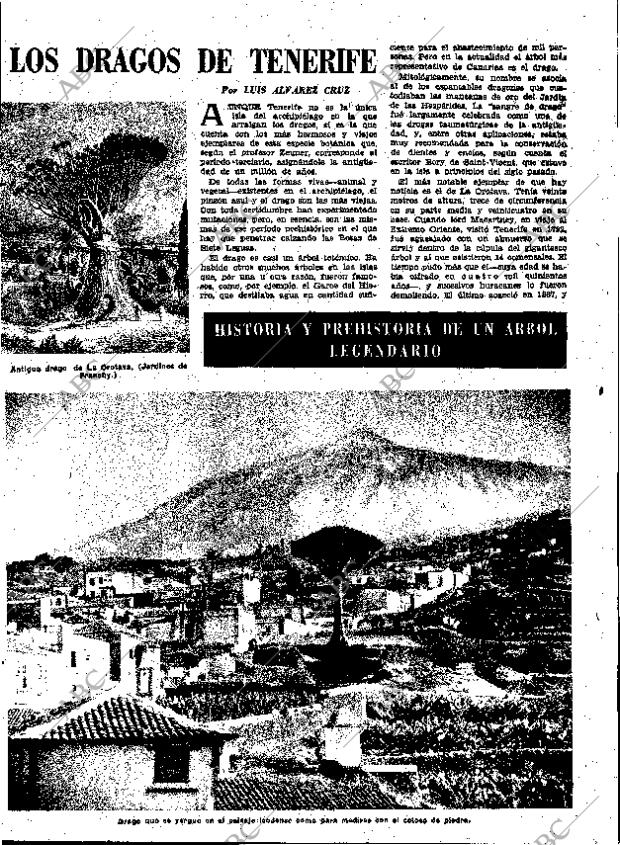 ABC MADRID 30-05-1959 página 19