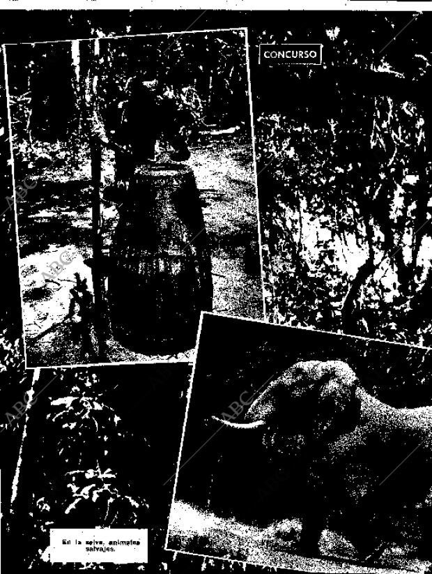 BLANCO Y NEGRO MADRID 13-06-1959 página 8