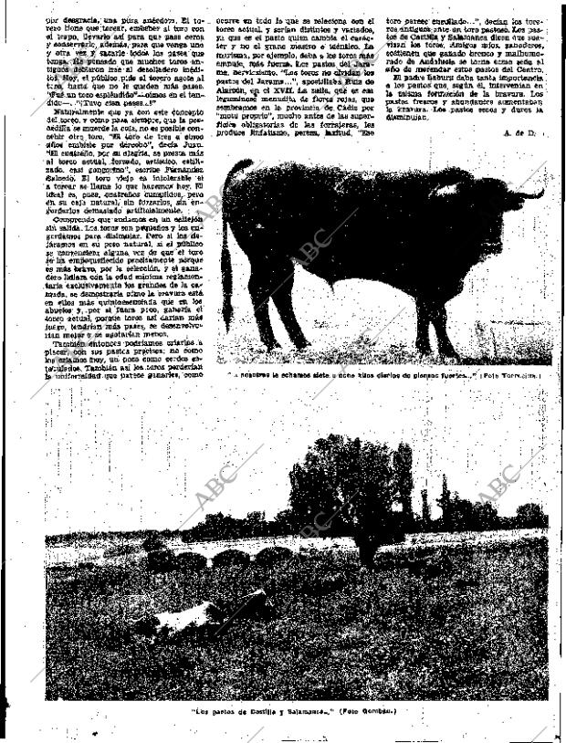 ABC SEVILLA 14-06-1959 página 33