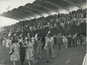 Ambiente durante el Gran Premio de Madrid en el hipódromo de La Zarzuela