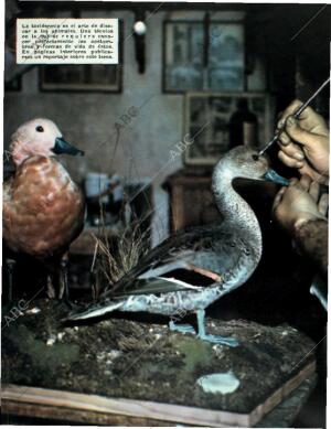 BLANCO Y NEGRO MADRID 18-07-1959 página 5