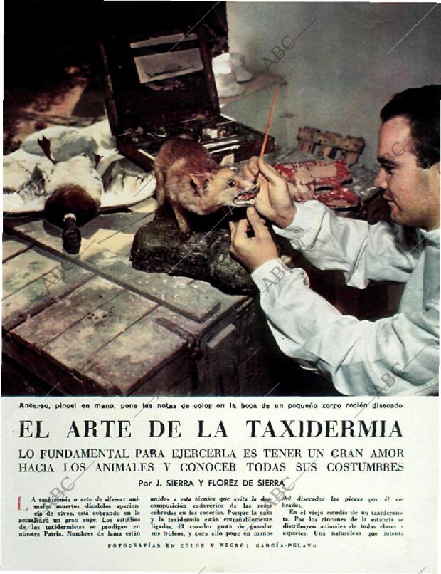 BLANCO Y NEGRO MADRID 18-07-1959 página 73