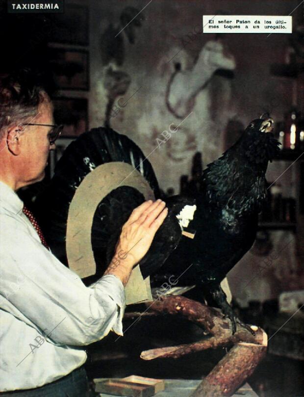 BLANCO Y NEGRO MADRID 18-07-1959 página 74