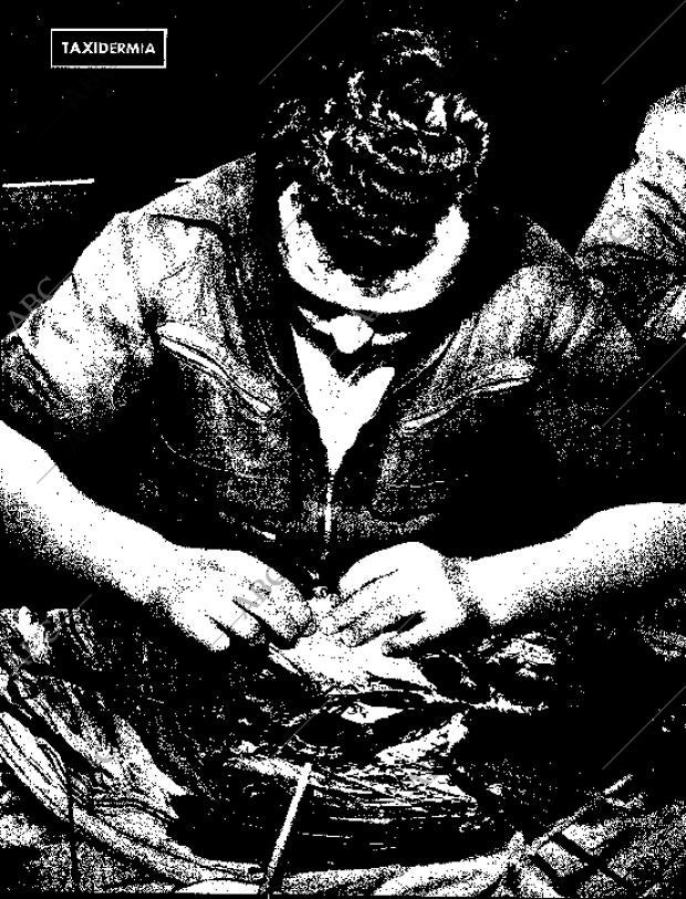 BLANCO Y NEGRO MADRID 18-07-1959 página 76