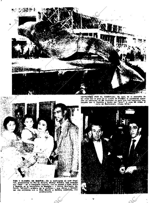 ABC MADRID 07-08-1959 página 13