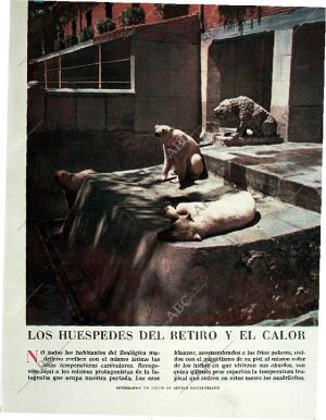 BLANCO Y NEGRO MADRID 08-08-1959 página 37