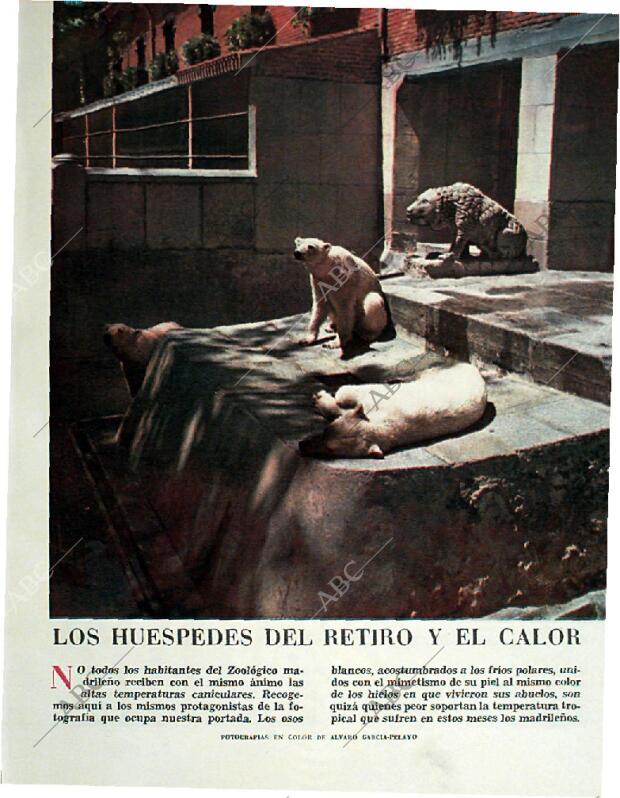 BLANCO Y NEGRO MADRID 08-08-1959 página 37