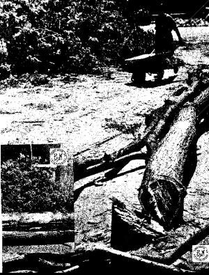 BLANCO Y NEGRO MADRID 08-08-1959 página 85