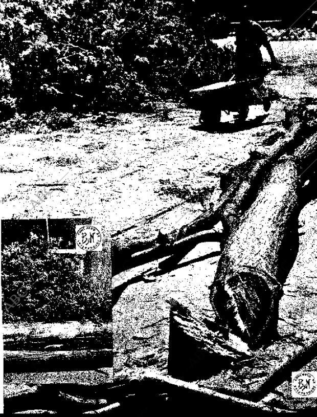 BLANCO Y NEGRO MADRID 08-08-1959 página 85