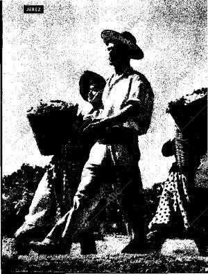 BLANCO Y NEGRO MADRID 12-09-1959 página 44