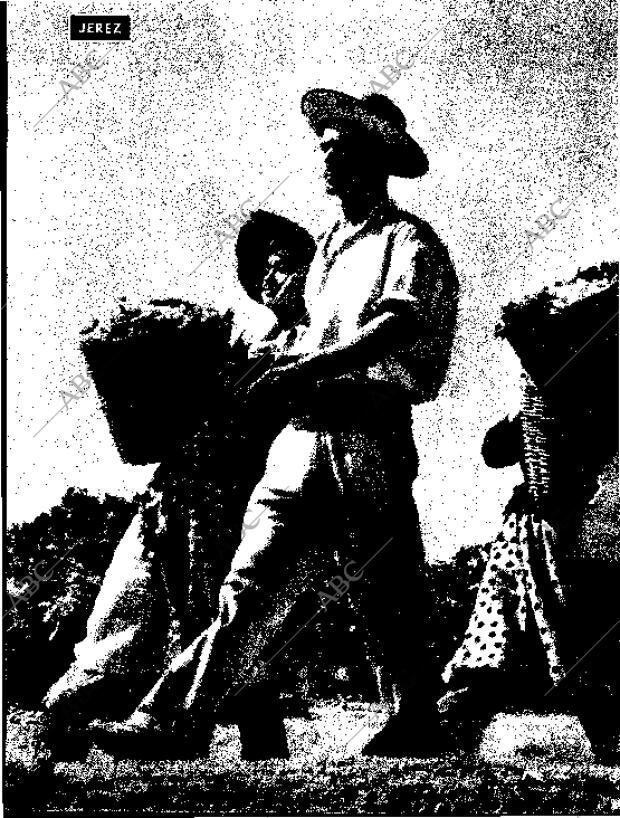 BLANCO Y NEGRO MADRID 12-09-1959 página 44