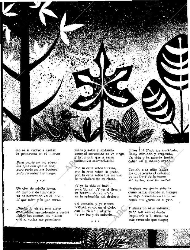 BLANCO Y NEGRO MADRID 12-09-1959 página 58