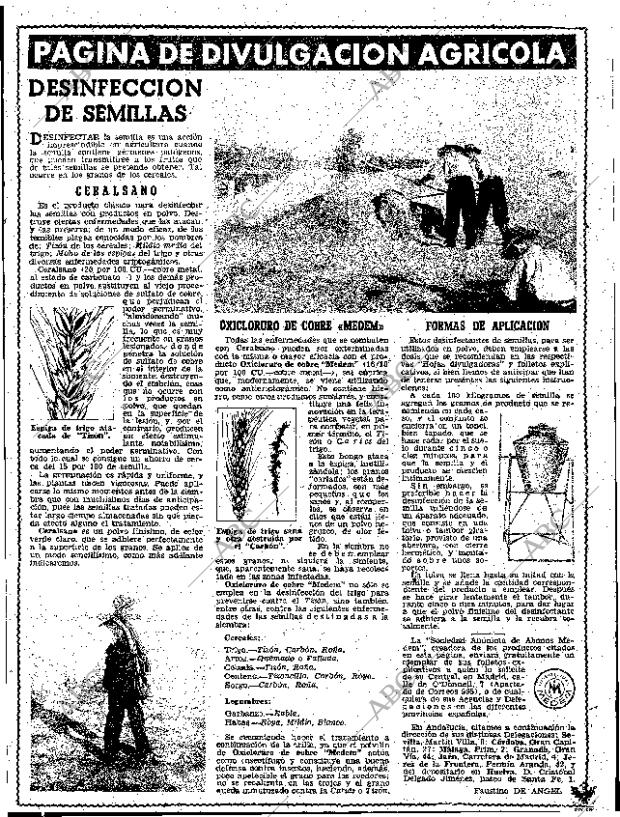 ABC SEVILLA 13-09-1959 página 17