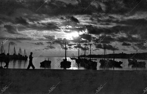 Panorámica crepuscular del puerto Pesquero