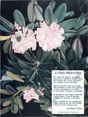 BLANCO Y NEGRO MADRID 31-10-1959 página 57