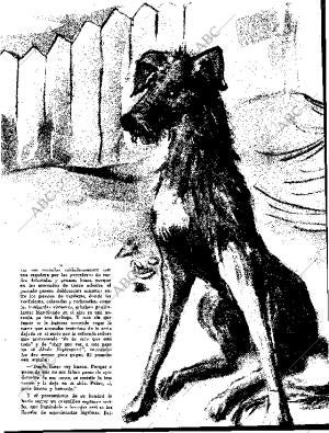 BLANCO Y NEGRO MADRID 31-10-1959 página 59