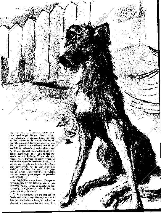 BLANCO Y NEGRO MADRID 31-10-1959 página 59