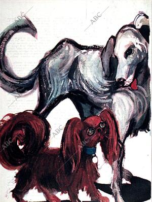 BLANCO Y NEGRO MADRID 31-10-1959 página 64